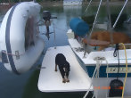 conquest-webpage2008018.jpg